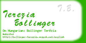 terezia bollinger business card